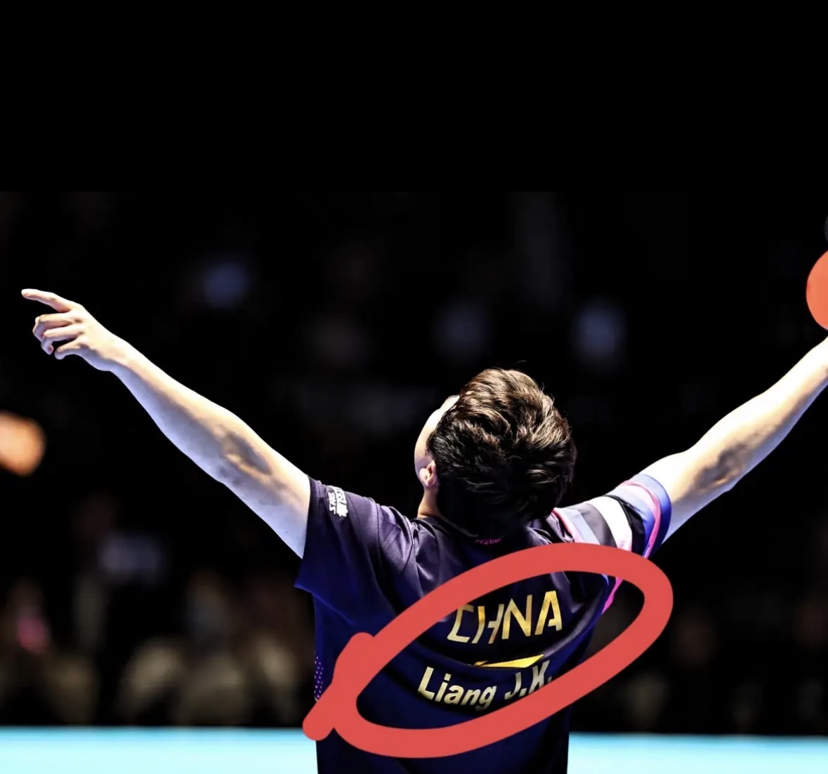法国队翻盘德国队，梁靖崑刷新纪录的简单介绍