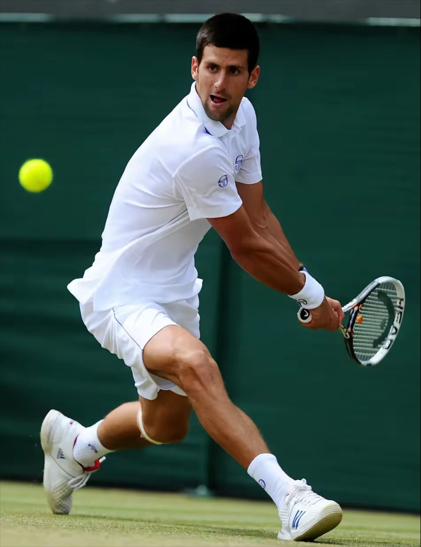 雷火电竞主播-联合杯险胜法网，德约科维奇惊艳四座